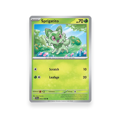 Pokémon TCG: Paldea Collection - Sprigatito Promo